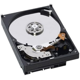 IBM IBM 49Y1866 600 GB Internal Hard Drive