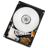 Hitachi 0Y30051 160 GB Internal Hard Drive
