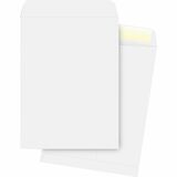 Business Source Plain Cataloge Envelope