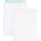 Business Source Removable Strip Catalog Envelopes