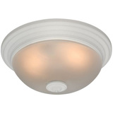 Hunter Fan Ashbury 81002 Ceiling Fan