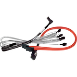 LSI Logic LSI00255 SAS Data Transfer Cable - 16.40 ft