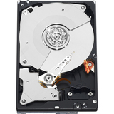 Western Digital WD2503ABYX 250 GB Internal Hard Drive - 20 Pack