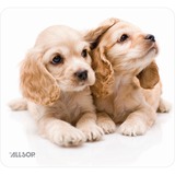 ALLSOP Allsop Naturesmart 30183 Puppies Mouse Pad