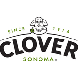 Clover PAC1365 Video Surveillance System