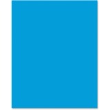 Pacon Neon 5531-1 Premium Poster Board PAC55311
