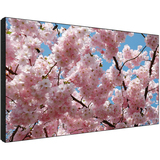 Sharp PN-V601 Digital Signage Display