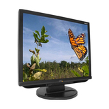 CTL 192LX 19" LCD Monitor - 4:3 - 5 ms - MT192LX