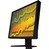 Eizo FlexScan S1902 19