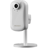Lorex LNE1001i Surveillance/Network Camera - Color