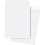 Business Source Catalog Envelope