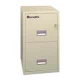 SentrySafe 2T2010P File Cabinet