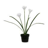 Pacific Writing Artificial Flower with Pot BAU98041