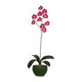 Pacific Writing Artificial Flower with Pot BAU98046