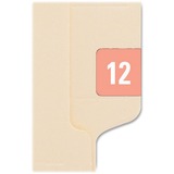 Smead ETS Color Coded Year Label SMD67912