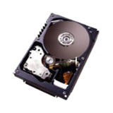IBM 49Y2048 600 GB Internal Hard Drive