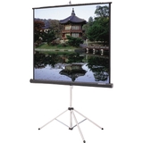 DA-LITE Da-Lite Picture King Projection Screen