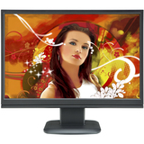 V7 Wide monitor with integrated speakers, VGA and DVI connectors