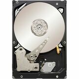 Seagate Technology Seagate Constellation.2 ST91000640NS 1 TB