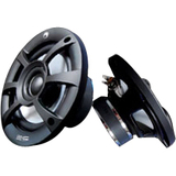 RE Audio RE 5 FR Speaker - 100 W RMS