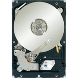 Seagate Constellation ES.2 ST33000650NS 3 TB 3.5" Internal Hard Drive ST33000650NS