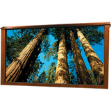 DRAPER, INC. Draper IRUS Projection Screen