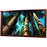 DRAPER, INC. Draper IRUS Projection Screen