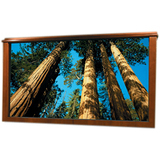 DRAPER, INC. Draper IRUS Projection Screen