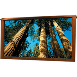 DRAPER, INC. Draper IRUS Projection Screen