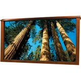 DRAPER, INC. Draper IRUS Projection Screen