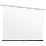 DRAPER, INC. Draper Access Projection Screen