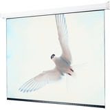 DRAPER, INC. Draper Targa Electric Projection Screen