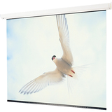 DRAPER, INC. Draper Targa Electric Projection Screen