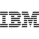 IBM IBM Hard Drive Array Battery