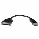 COMPREHENSIVE Comprehensive DisplayPort Male To DVI Female 8 Inch Cable