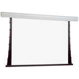 Draper Silhouette/Series V Electric Projection Screen 107303