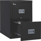 FIREKING FireKing Patriot Series 2-Drawer Vertical Files