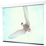 DRAPER, INC. Draper Targa Electric Projection Screen