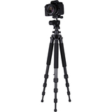 Dolica ZX600B300 - Professional Carbon Fiber Tripod with Balanced Ball - ZX600B300
