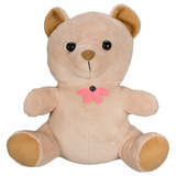 KJB Security Products, Inc TB300 Hardwired Teddy Bear Camera