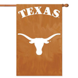 Party Animal Texas Applique Banner Flag - AFUT