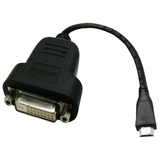 ACCELL Accell Mini HDMI to DVI Adapter