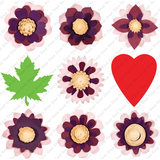 PROVO CRAFT CRICUT Projects Cartridge, Flower Shoppe