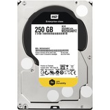 WD BULK WD RE WD2503ABYZ 250 GB 3.5