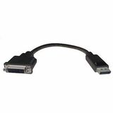 COMPREHENSIVE Comprehensive DisplayPort Male To DVI Female Active Adapter Cable