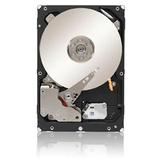 SEAGATE Seagate Constellation ES.3 ST1000NM0023 1 TB 3.5