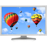 NEC NEC Display MultiSync PA302W 30