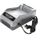 SNOW JOE Snow Joe iON 40-Volt EcoSharp Lithium-Ion Charger