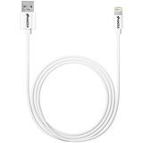 AMZER Amzer MFi Certified Sync & Charge Lightning to USB Cable (6 Feet/1.8 Meters) - White
