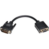 TRIPP LITE Tripp Lite 8-in. DVI to VGA Adapter Cable (DVI-I Dual Link M to HD15 F)